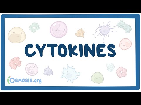 Video: Waar zitten cytokinines in een plant, wat is hun functie?