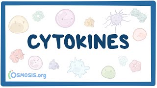 Cytokines