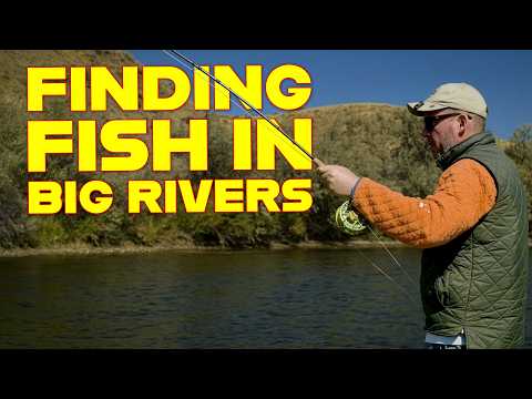 Locating Fish In A Big River