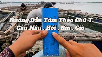 Hướng Dẫn Cách Tóm Thẻo Chữ T Để Câu Cá Nâu , Hói , Rìa,  Giò  Hiệu Quả | Câu Cá Biển Vũng Tàu ✅