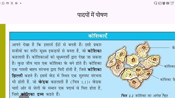 Class 7 Science Chapter 1 Nutrition in Plants | पादपों में पोषण | Full Explanation