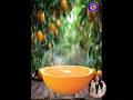Create Attractive Transparent Effect in Photoshop Tutorial #photoshoptutorial #shortsfeed #shorts