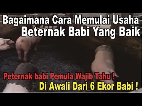 Video: Teknologi internet siap menguasai dunia