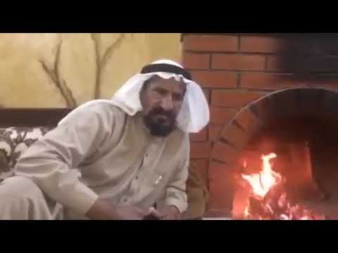 ماجد الشيباني