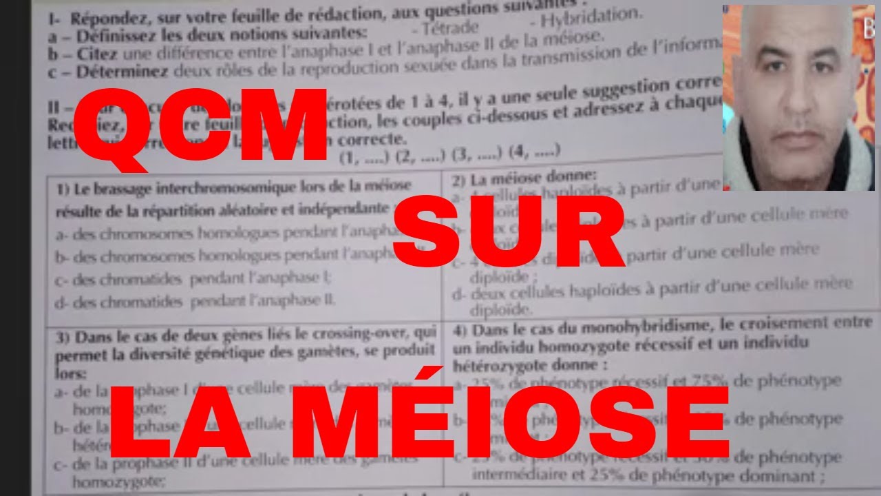 QCM sur la méiose