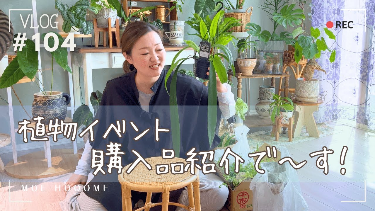 【購入品紹介】植欲低下って誰が言ってました？はい。私です。（Vlog/104）