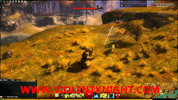 Violent Knight Guild Intro Video