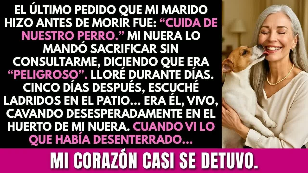 Mi nuera sacrificó al perro que mi difunto esposo me dejó para “cuidar”  Días después, lo encont