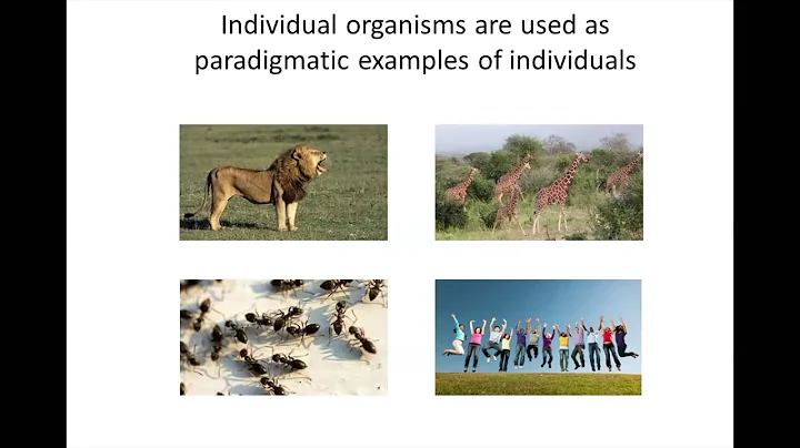 CDTRP Webinar - Ramesh Prasad - The Philosophy of ...