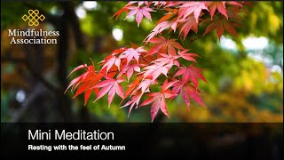 Mini Meditation -  Resting with the feel of Autumn - with Jacky