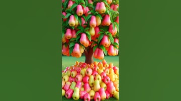 easy and fast method how to grow and propagate waxapple fruit trees #garden #plants