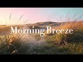 Relaxation Music, Stress Relief, Meditation — Morning Breeze 🌅🍃 | Calm Healing Ambient