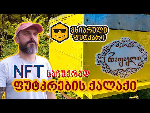 ფუტკრების ქალაქი – რაფაელო (NFT საჩუქარი)