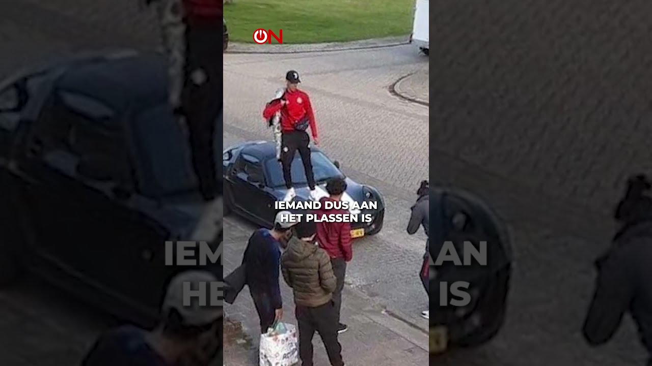 Schokkende Beelden Van De Burgerwacht In Ter Apel 