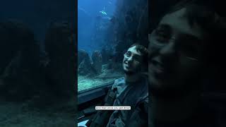 The Adventures of Jimmy & Lauryn at The Deep 🦈 @thedeephull