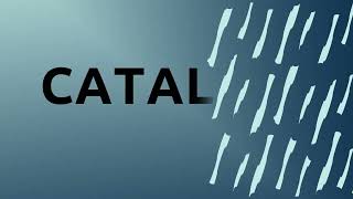 Catalyst video bumper