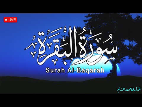 سورة البقرة لحفظ وتحصين المنزل بصوت هادئ للقارئ محمد هشام   