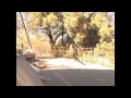 BMX - Cult's Small Talk DVD - Floyd & Codey Levesque