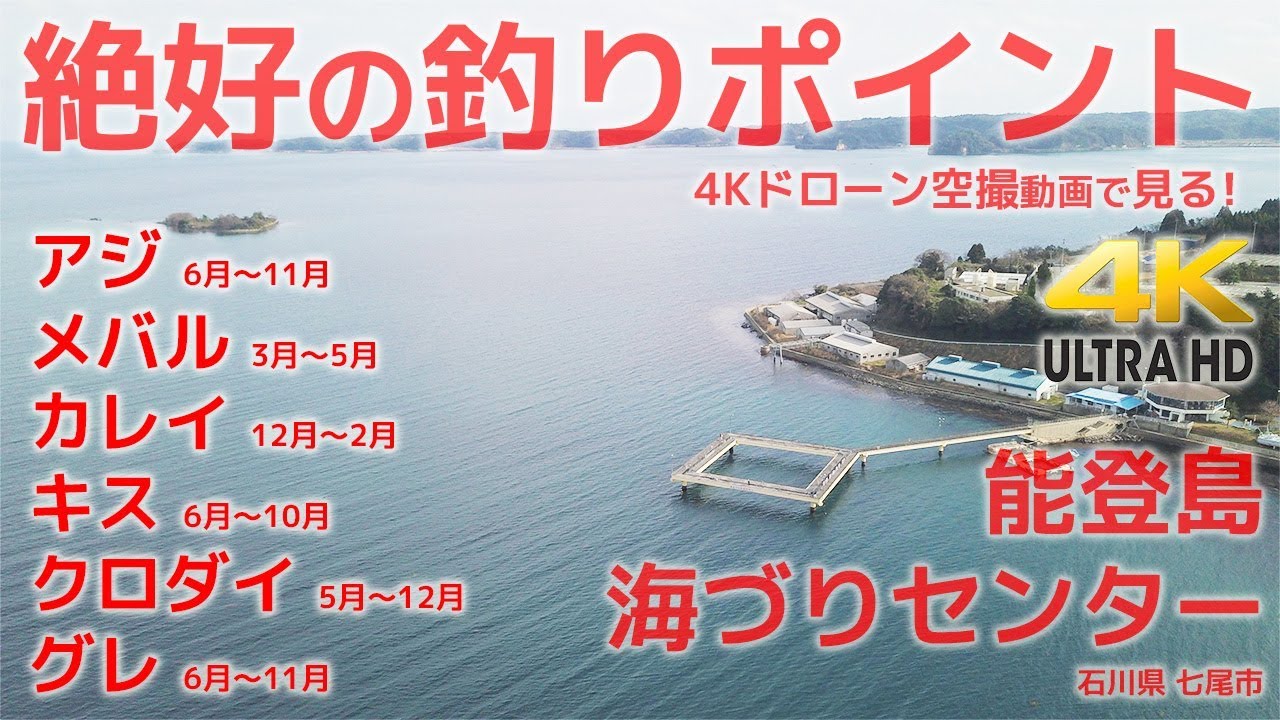 能登島海釣りセンターの概要や釣果と仕掛けはコレ 季節の魚も 趣味 釣り等 と暮らしのお役立ちブログ