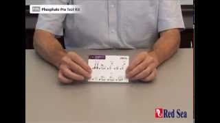 Red Sea Phosphate Pro Test Kit Demonstration | Big Al's