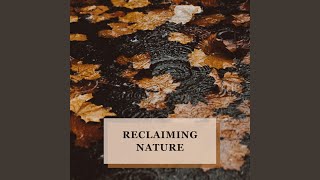 Drizzling Rain Harmony