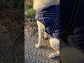 なかよくシリーズ 葉っぱ (クールver)
