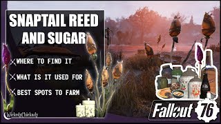 Where to Find Snaptail Reed | Farming 150+ Snaptail in Fallout 76 | Sugar Farm
