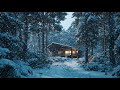 Winter Blizzard Ambience | Howling Wind & Snow | Deep Sleep Sounds
