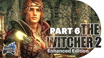 The Witcher 2 Cutscenes Ending Part 6 (Iorveth)