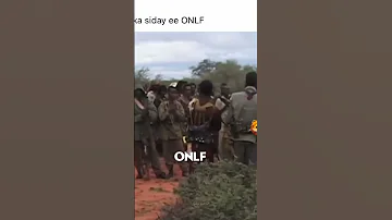 Ciidanka ONLF 