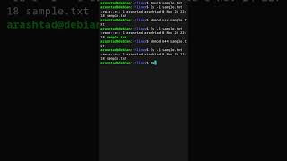 Change File Permissions with chmod
