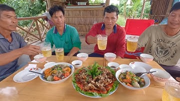 Rắn hổ hành hầm đu đủ, chuột khìa nước dừa, lai rai buổi chiều tại chòi - cdmt 895