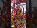 #जय_पाथीभरा_माता_सम्पूर्ण_भक्तजनहरूको_रक्षा_गर्नुहोस🙏 #pathivaramatadarsan #shreeganeshaynamah🇳🇵