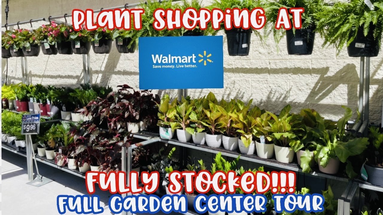 Plant Shopping at Walmart Big Box Store || FULLY STOCKED || FULL GARDEN CENTER TOUR