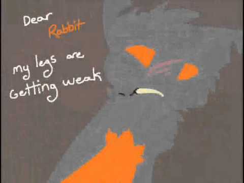 ||เ кภ๏ฬ เ'๓ ค ฬ๏lŦ|| Yellowfang || Warriors Amv|| (OLD) - By Polaroid (Velo Cira).
