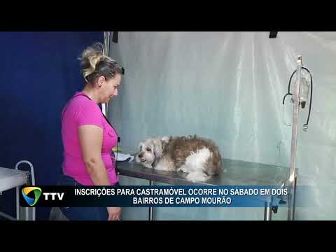 Inscrições para castramóvel ocorre no sábado em dois bairros de Campo mourão