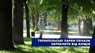 Тернопільські парки почали обробляти від кліщів