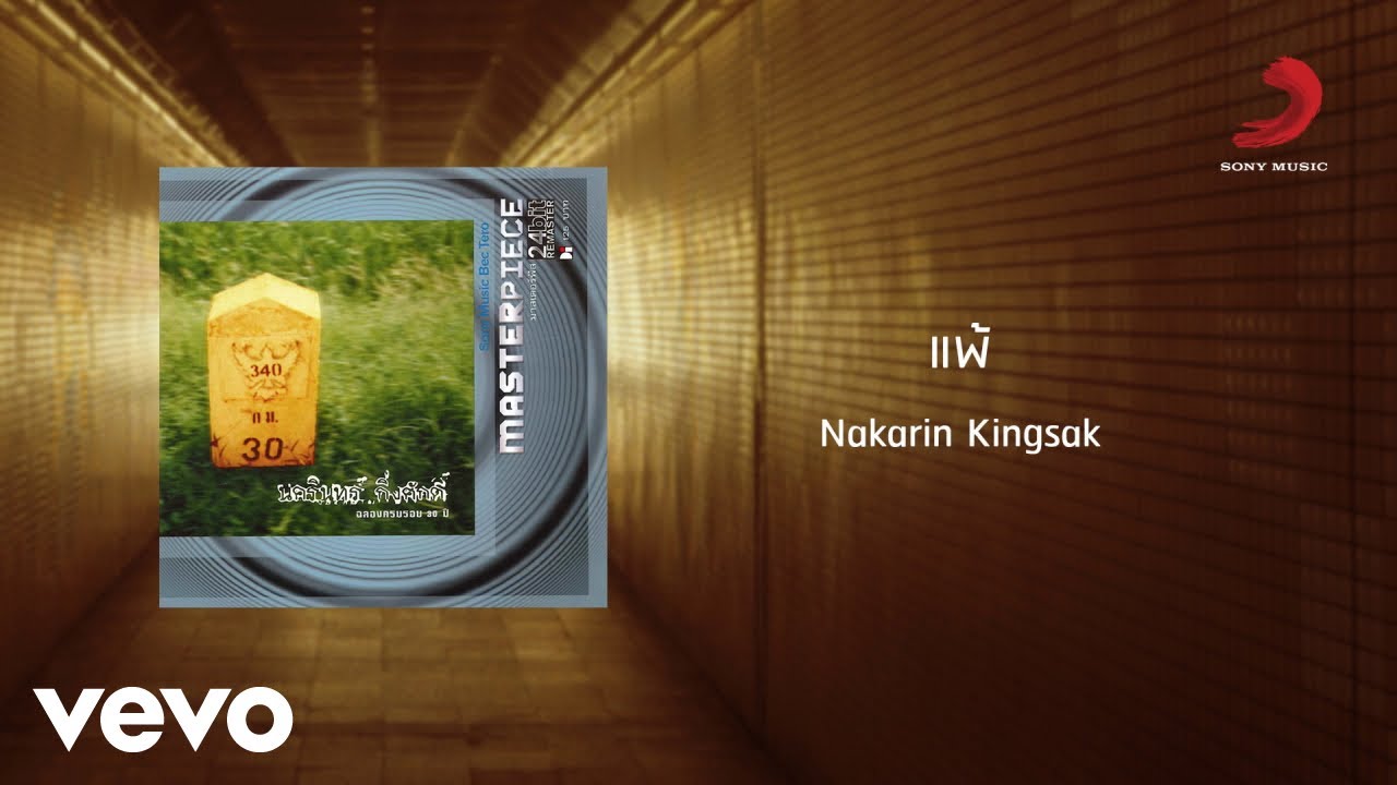ปกเพลง แพ้ — PANG NAKARIN