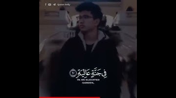 عبد الرحمن مسعد | سورة الغاشية | تلاوه خاشعة | حالات واتس دينية