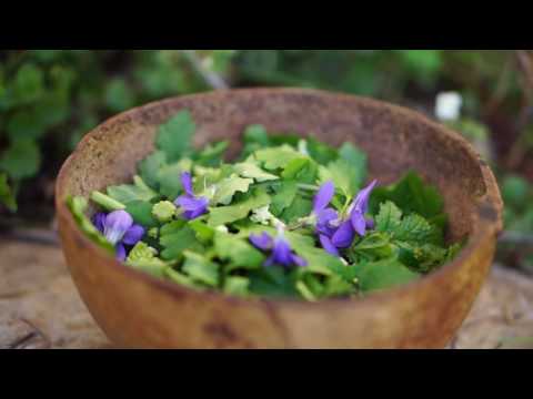 Vidéo: Salade De Violette