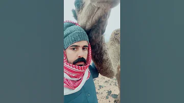 وش لون وجهي مايبين التعب فيه 