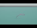 Fly Casting Simulation TRY12