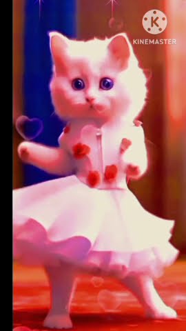 Cat dance funny🤣 #newsong #song #music #bollywood
