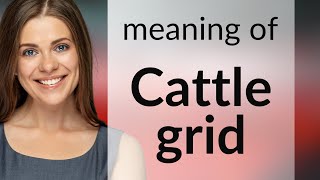 Unraveling the Mystery of "Cattle Grids"