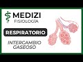 Clase 39 Fisiología Respiratoria - Intercambio Gaseoso Pulmonar (Hematosis)