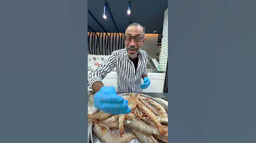فريشات بتلمع زي البحر تعال اختار وسيب الباقي علينا مصر 