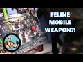 I open NEW Bandai Gundam toys while my cat DESTROYS my room | Gundam Infinity and Mobile Change Haro