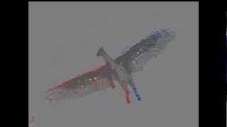 3D wing rig