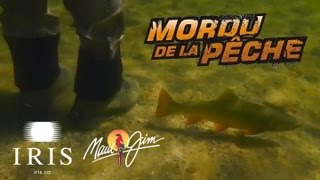 Truites brunes à la mouche dans les Caraïbes du nord - Mordu de la Pêche avec Cyril Chauquet