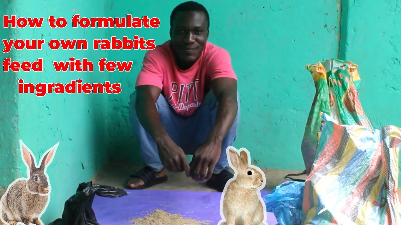 How to formulate rabbits feed - YouTube